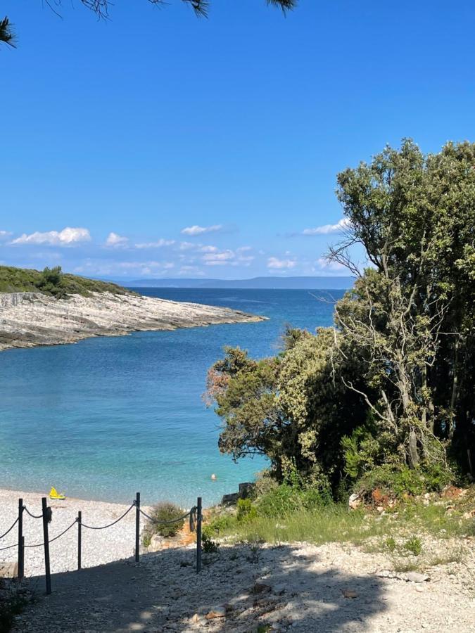 Moderne Istrische Steinvilla - 4 Sterne Mit Privatem, Beheizbaren Pool & Meerblick Kavran Buitenkant foto